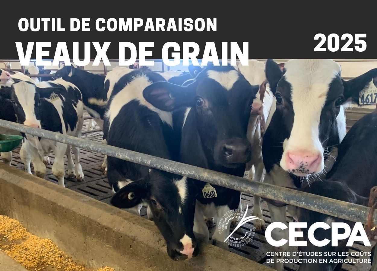 Outils : OUTIL DE COMPARAISON - VEAUX DE GRAIN - 2025